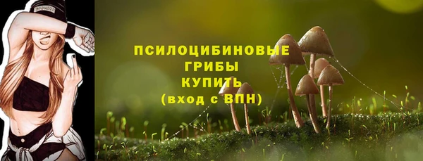 бошки Абаза
