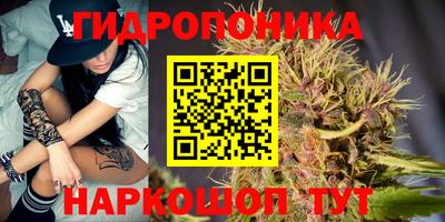 apvp Ливны