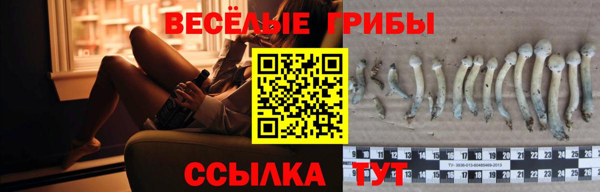 Галлюциногенные грибы MAGIC MUSHROOMS Иваново