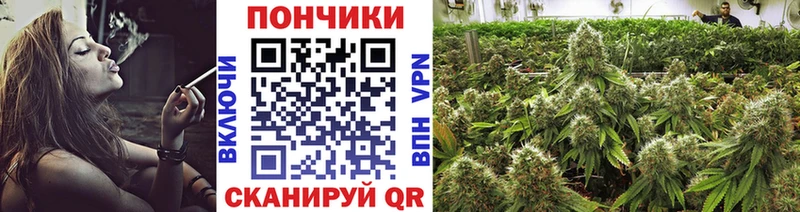 Конопля конопля  даркнет сайт  Иваново 